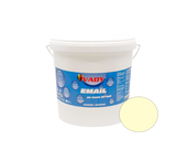 EMAIL acrilic pe bază de apă, 10 L